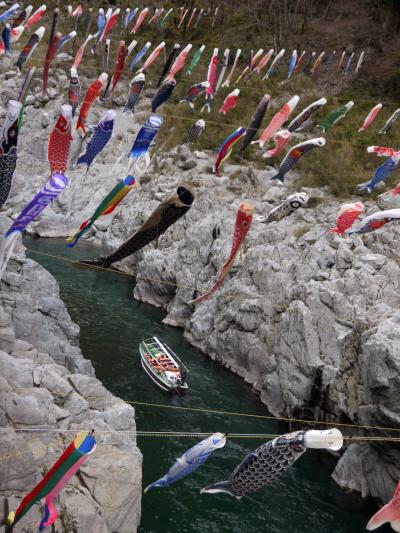 父母ヶ浜海岸の絶景の水鏡と四国路の旅　3－3　こんぴら参道散策・祖谷のかずら橋・大歩危峡編