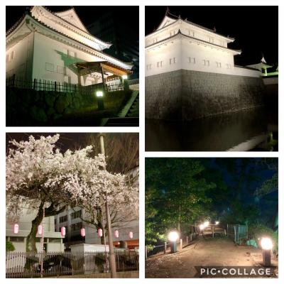 夜の静岡ぶらり　夜の駿府城　桜はまだかいな？