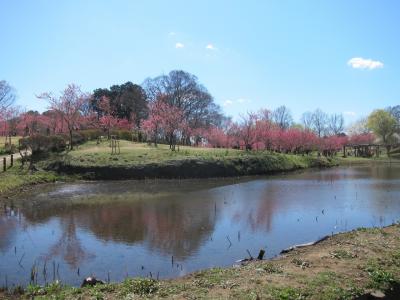 茨城・古河桃まつりと間宮林蔵記念館