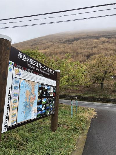 伊東で花見&#127800;と釣り