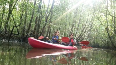 マレーシア　ランカウイ島で海、川、山、街まるごと満喫旅！