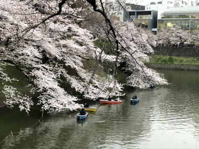 桜を見ながら千鳥ヶ淵～靖国神社を歩いた