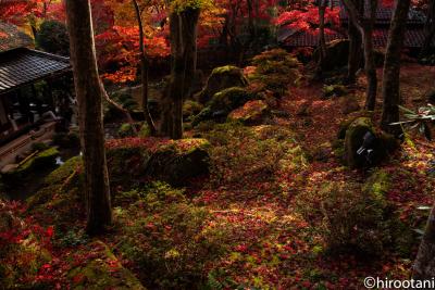 紅葉の教林坊と大滝神社、胡宮神社