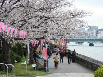 東京浅草・満開の隅田公園“桜まつり2019”を訪れて