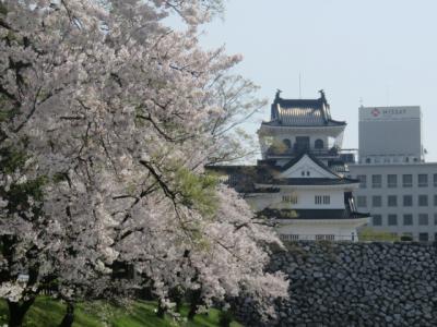 北陸路・飛騨路（１２）市電に乗って桜満開の富山城址公園