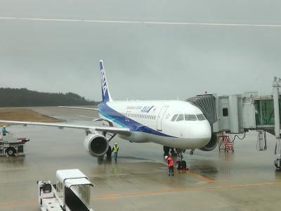 伊丹から羽田経由の乗継で、北陸への飛行機４区間の旅