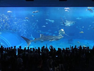 美ら海水族館