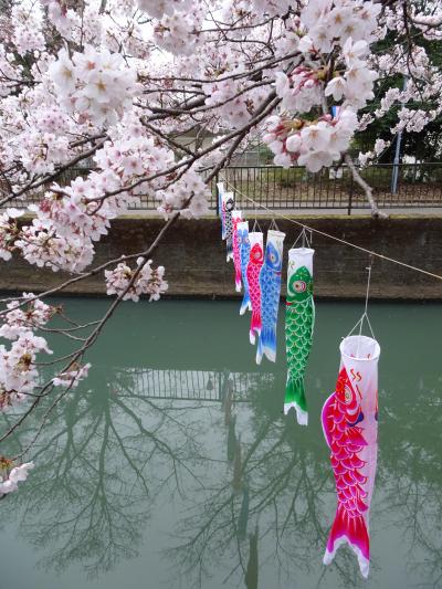 ローカル線と群馬の桜の名所を訪ねて