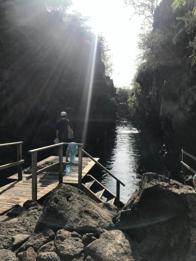 ガラパゴス旅その４　秘境？っぽいラスグリエタスでシュノーケル