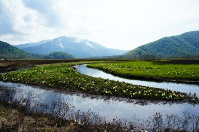 【はじめての山小屋一泊】尾瀬ハイキング