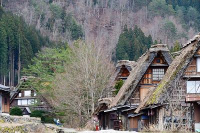 いざ！春の中部地方へ白川郷・名古屋の旅Ⅰ～白川郷編～