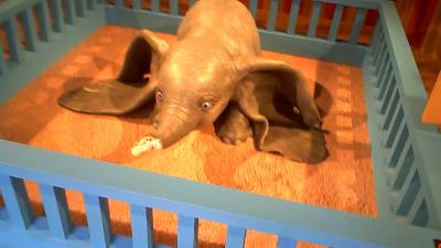 2019年 香港 3/3:国際映画祭3回目(銅鑼湾・湾仔)