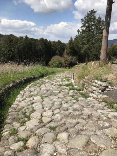 青春18きっぷの旅2019春：東海道本線金谷駅～島田駅間、歴史ウォーク