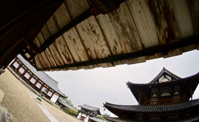 大雨の中、結構...遠かった...「（柿くへば鐘が鳴るなり）法隆寺」（奈良市／奈良県）