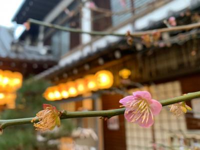 【早春の京都】ホテルグランバッハと歌舞伎と♪華麗なる玉三郎特別公演！