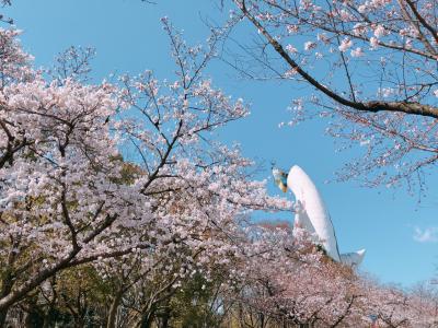 花見に大阪へ①