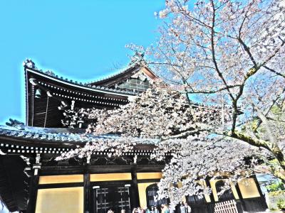 ごはん難民&極寒の夜桜☆京都