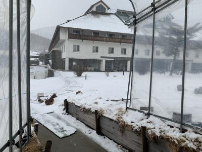 小海リエックス日記２０１９