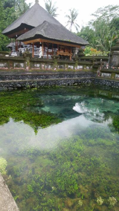 母は初、娘は２度めのバリ島二人旅　３日目