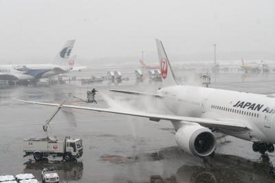 フィンランドのオーロラを求めて(1日目 雪の成田～ヘルシンキへ)