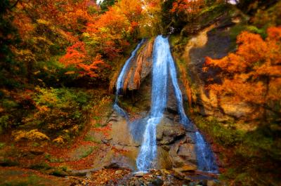 紅葉の滝めぐり橋わたり。山形紅葉川渓谷と秋の温泉めぐり。