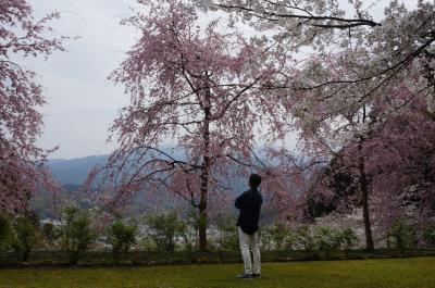 愛媛と香川でお墓参りと花見と温泉と (3) 宇和島で鯛めし・じゃこ天