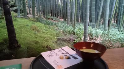 御朱印ハンター 大仏様がマッチョでびっくりの巻