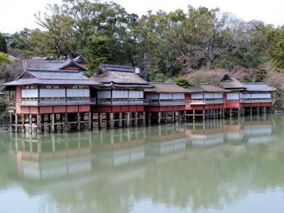 町屋の片泊まりで巡る京都の桜2019 　その１ 八条ヶ池の桜・錦水亭の筍会席・長岡天満宮