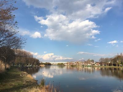 春の水元公園