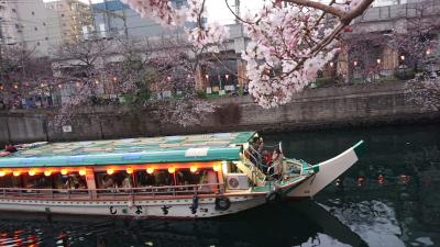 週末、サクラを見に日ノ出町「大岡川」を散策。序でに「野毛」、「みなとみらい」も寄り道。