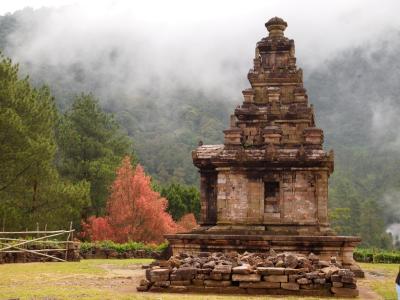 一人旅　インドネシア（スマランとグドンソンゴ）