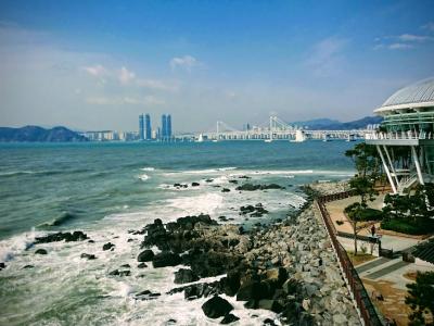 気ままに!海雲台散歩とKKday釜山シティツア-バスに乗車