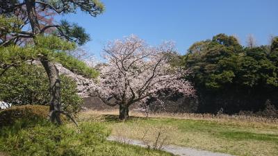 皇居　乾門　通り抜け