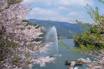 二万本の桜と人吉グルメ！ちょっとおまけドライブ旅