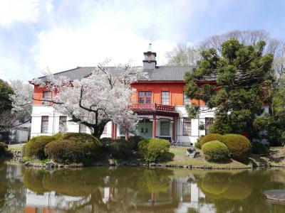 小石川の桜②☆小石川植物園・播磨坂☆紀庵・一幸庵☆2019/04/02