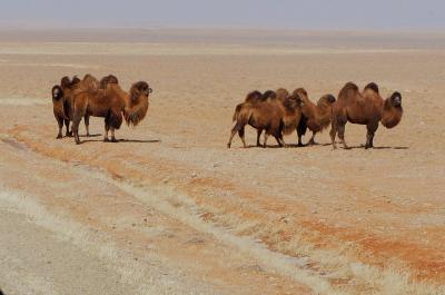 冬のモンゴル・シベリアへの旅1 北京からウランバートルまで 陸路最速1泊2日バスの旅 (Heading to Ulanbaatar)