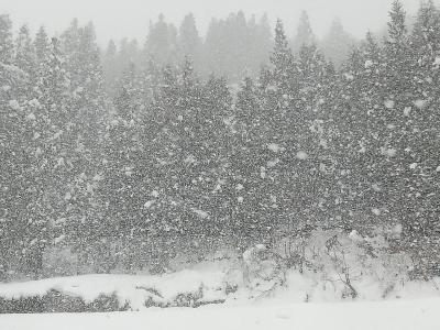 ☆ 2019年 4月 大寒波大雪の当間高原 ベルナティオ☆