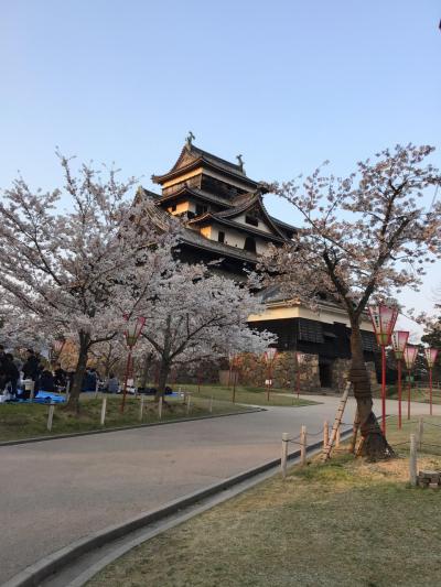 お花見 松江 一人旅