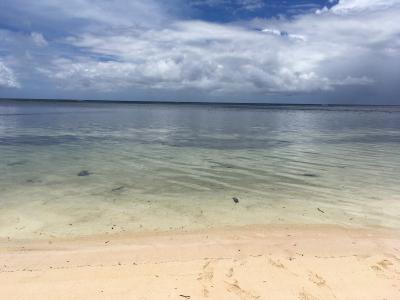 卒業旅行は日本語が通じる国パラオ共和国へ～４日目、ペリリュー島を周遊し、平和について改めて考える。～