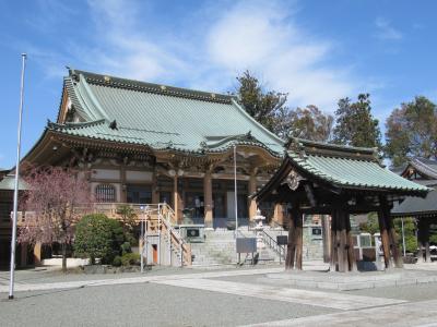 坂戸市「長渓山永源寺」の桜　2019/4/5