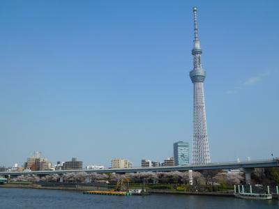 東京２０１９桜　【７】隅田川