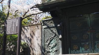 満開を過ぎてしまったけど御忌大会をしていた増上寺、芝大神宮ではおみくじひいて