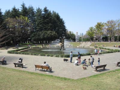 世田谷公園から世田谷観音に向かって歩きました