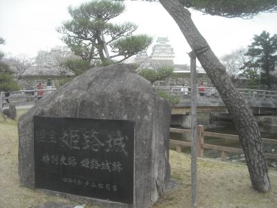 平成31年4月6日 お花見 国宝姫路城