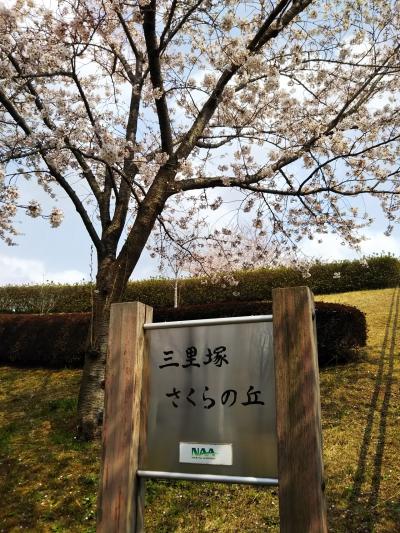 三里塚桜の丘