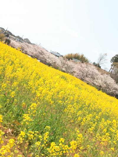 サイクリングやっほー