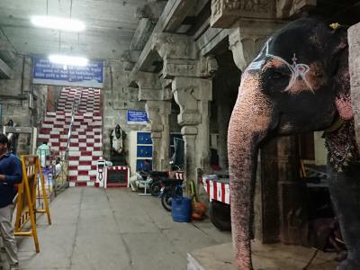 南インド一人旅 ⑧・象さん、再び（ティルチラパッリ）