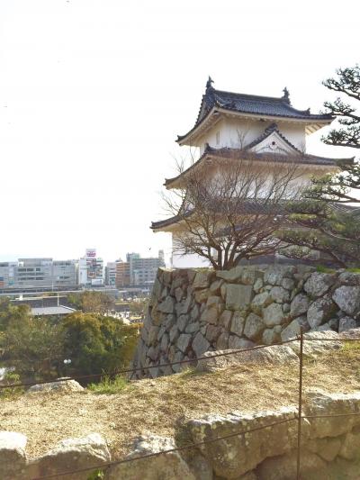 2019築城400年・明石城の桜