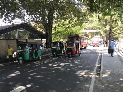 スリランカ最高!(3)キャンディ