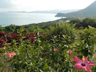 石垣島日帰り旅２０１９